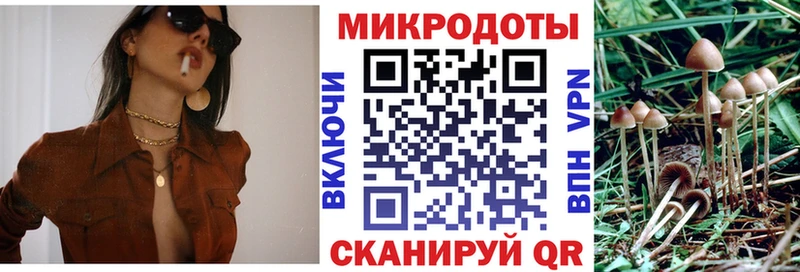 Галлюциногенные грибы ЛСД  магазин продажи наркотиков  Новотроицк 